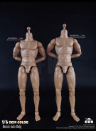 1/6 Scale Muscle male high Body